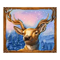 icon 4