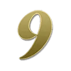 icon 12