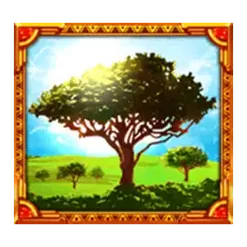 icon 13