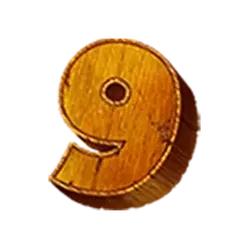 icon 12
