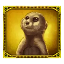 icon 6