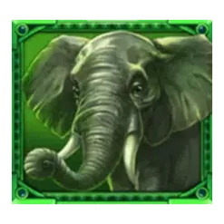 icon 3