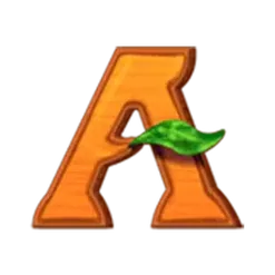 icon 6