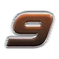 icon 12