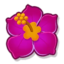 icon 2