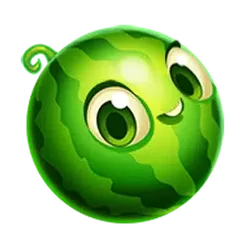 icon 6