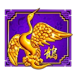 icon 5
