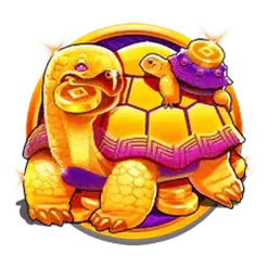 icon 5