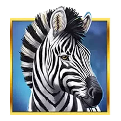 icon 5