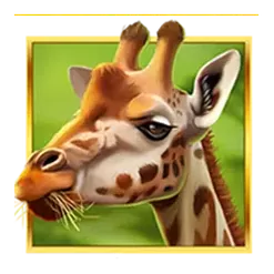 icon 4