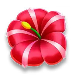 icon 2