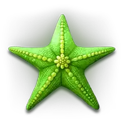 icon 1