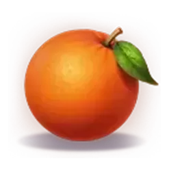 icon 6