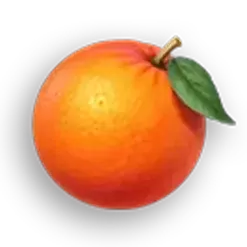 icon 6
