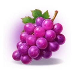 icon 4