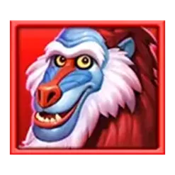 icon 1