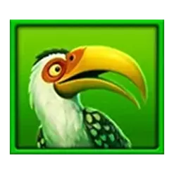 icon 4