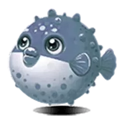icon 6