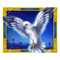 icon 4