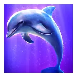 icon 2
