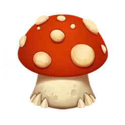 icon 5