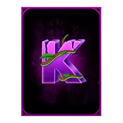icon 10