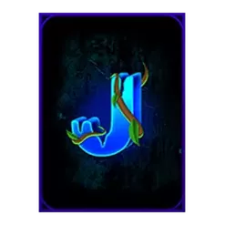 icon 12