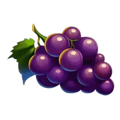 icon 6