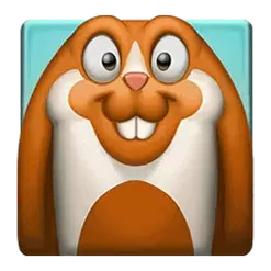 icon 5