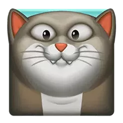 icon 3