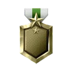 icon 10