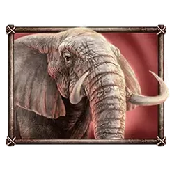 icon 1