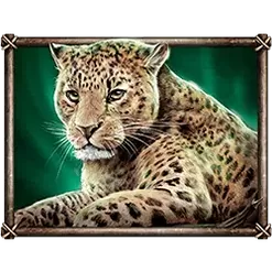 icon 2