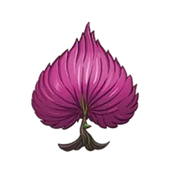 icon 6