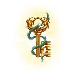 icon 13