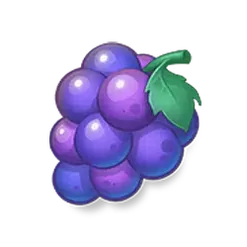 icon 5