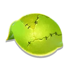 icon 5