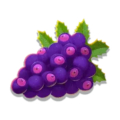 icon 4