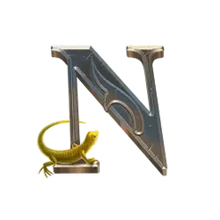 icon 9