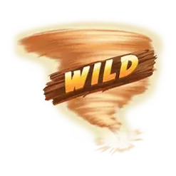 icon 4