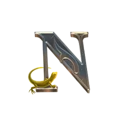 icon 10