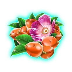 icon 4