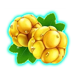 icon 1