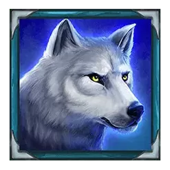 icon 4