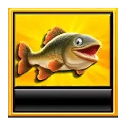 icon 5