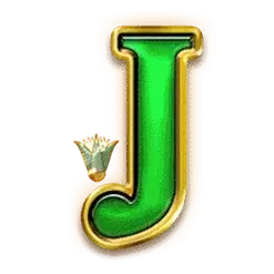 icon 9