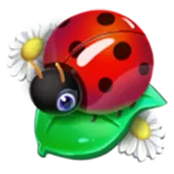icon 4