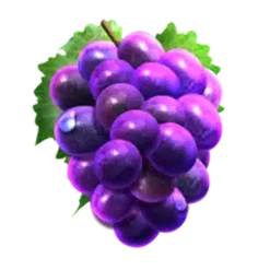 icon 5