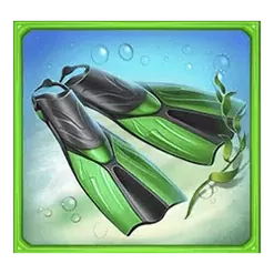 icon 5