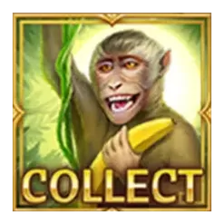 icon 11